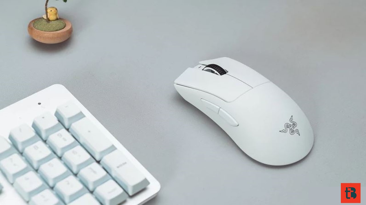 Razer DeathAdder V3 Pro