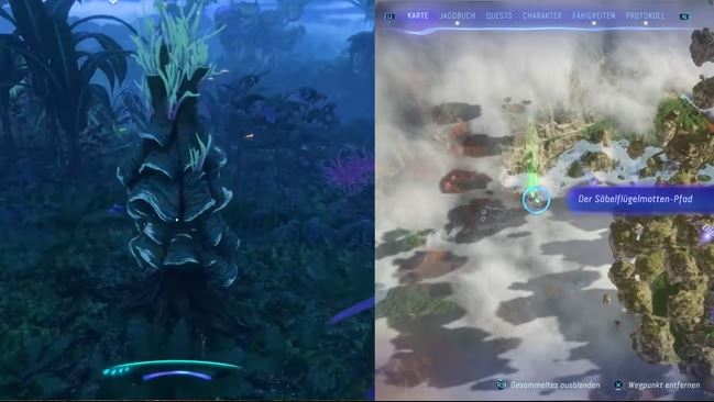 Here you will find the fourth Saberwing Moth Path. Here you will find the fourth Saberwing Moth Path.