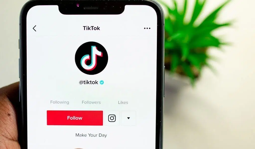 TikTok PFP