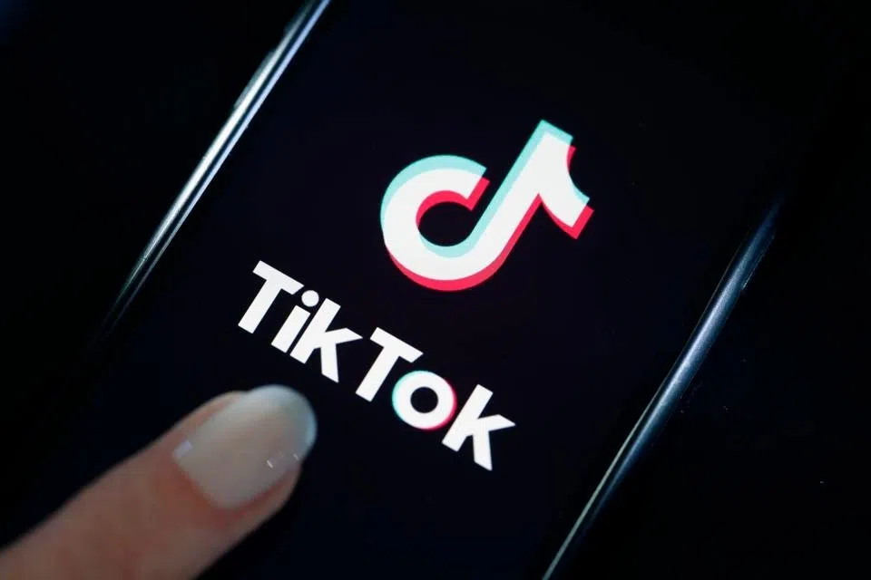 TikTok Watermark Remover