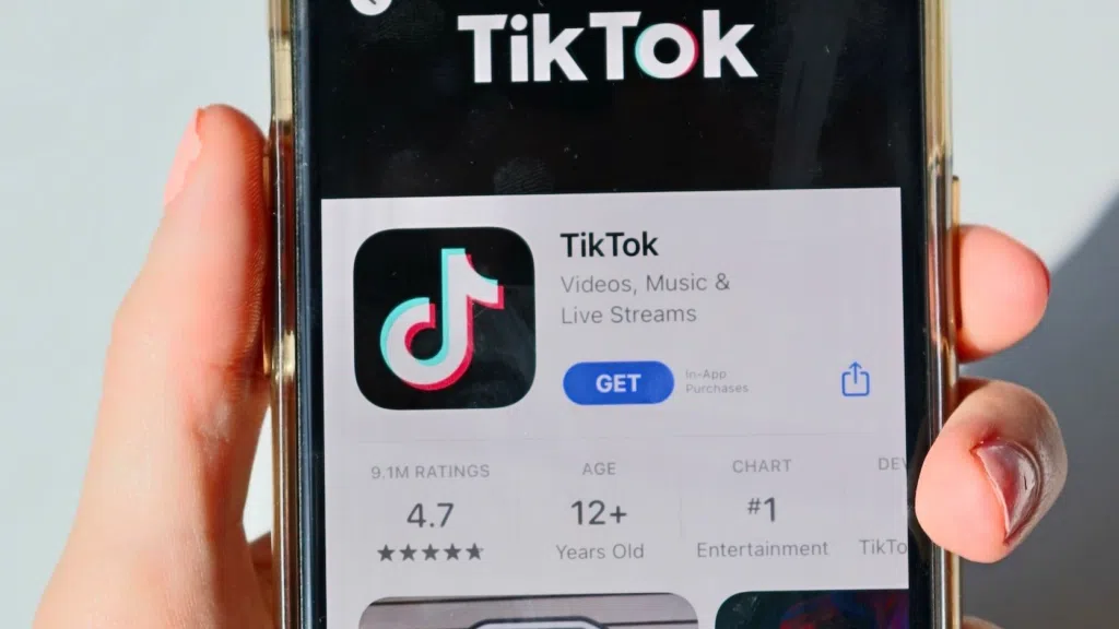 TikTok Profile Views