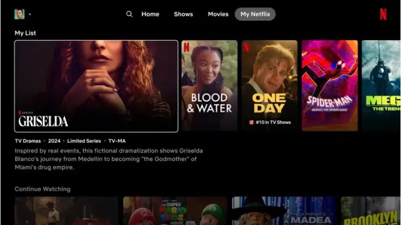 netflix advertising plan is success (1)