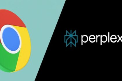 Perplexity