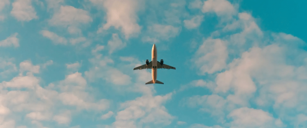 Google Flight