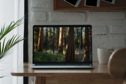macOS Sequoia