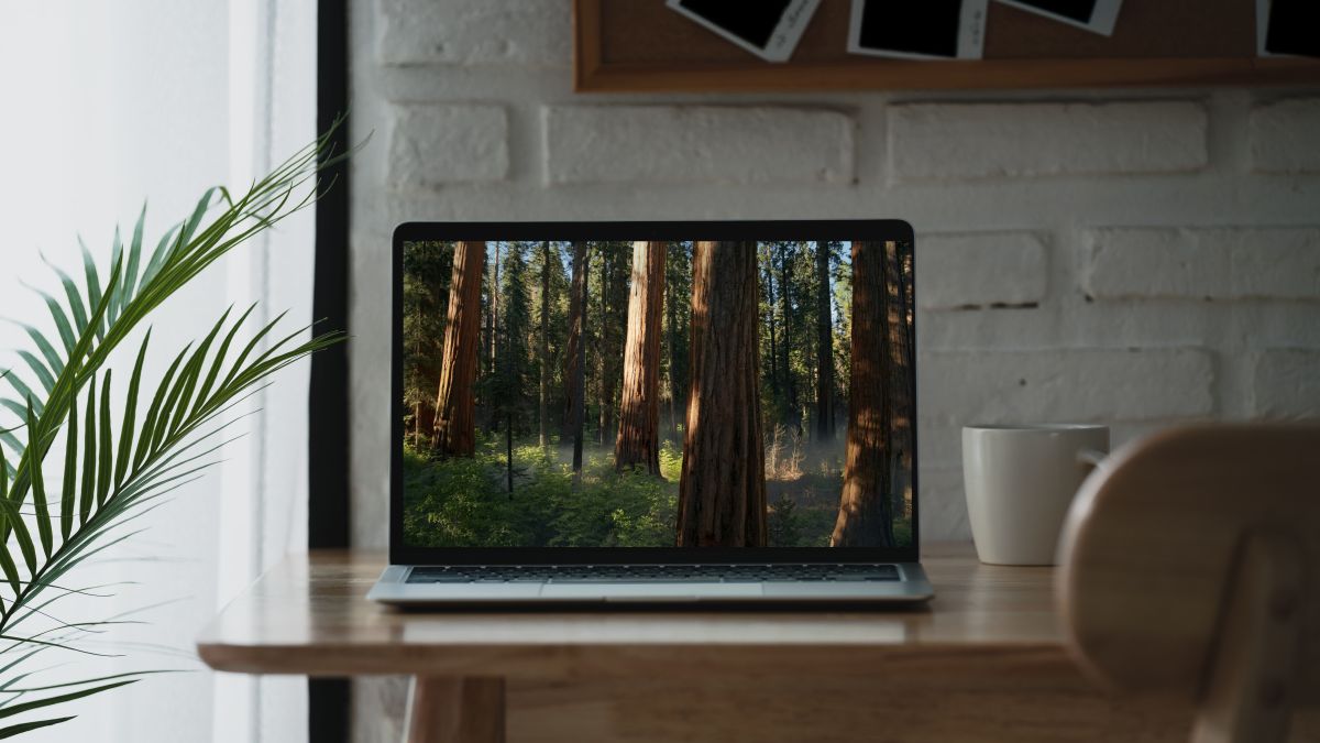 macOS Sequoia