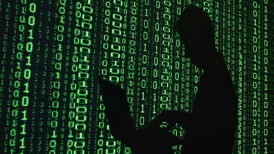 Dark Web Reports