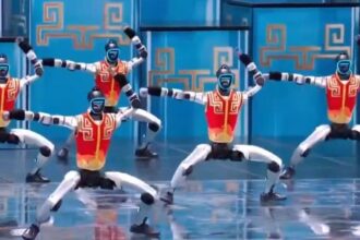 Kung Fu Robots
